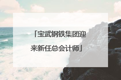 宝武钢铁集团迎来新任总会计师